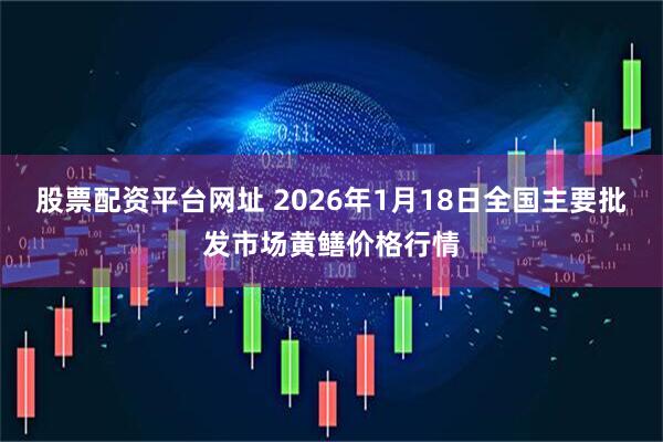 股票配资平台网址 2026年1月18日全国主要批发市场黄鳝价格行情